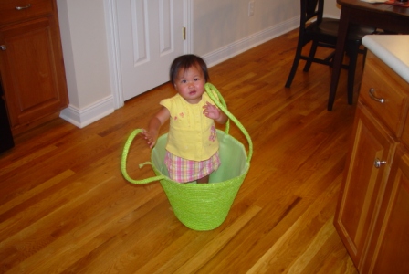 Kasen in a basket